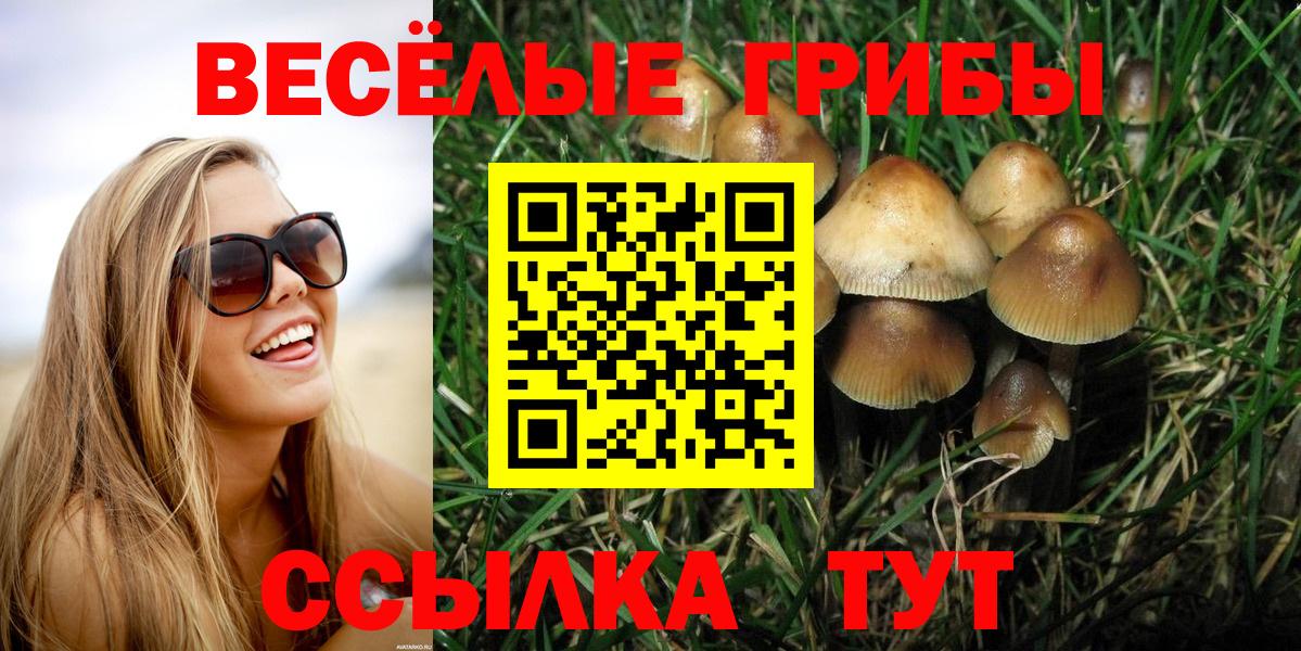 Борисоглебск  Галлюциногенные грибы Psilocybine cubensis  Вход с VPN 